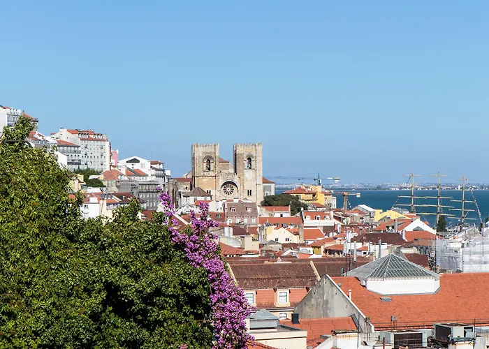 ゲストハウス ディア パレス シアード スイーツ